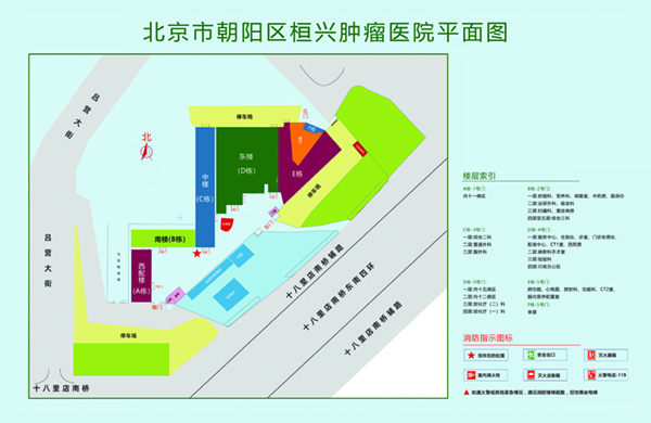 操淫荡dasaobi电影导航北京市朝阳区桓兴肿瘤医院平面图